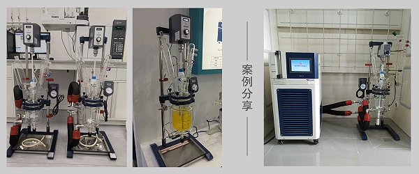 玻璃反应釜 (9)