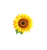 resource/images/3fc500ab883d4213beebc7510a243ec6_2.gif