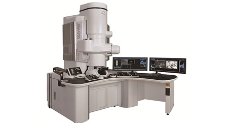 电子显微镜 电子显微镜